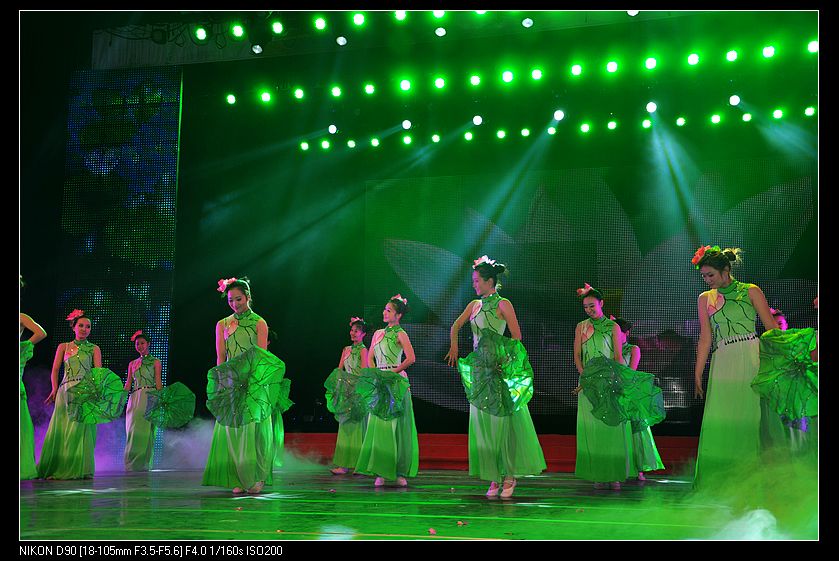 dsc_0405.jpg