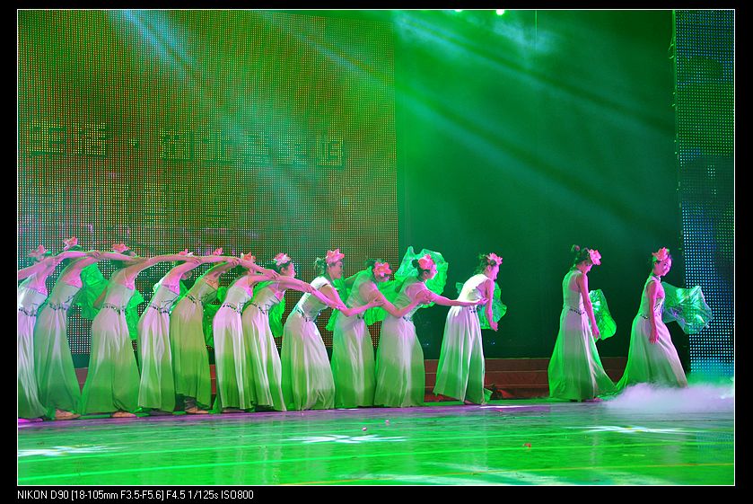 dsc_0398.jpg