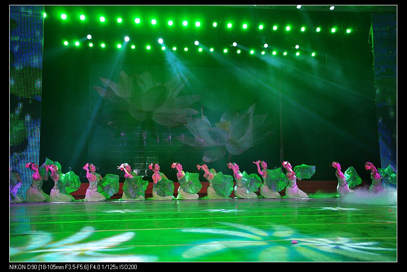 dsc_0401.jpg