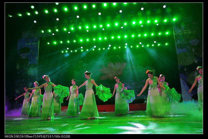 dsc_0406.jpg
