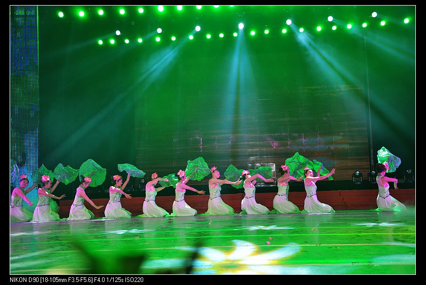 dsc_0403.jpg