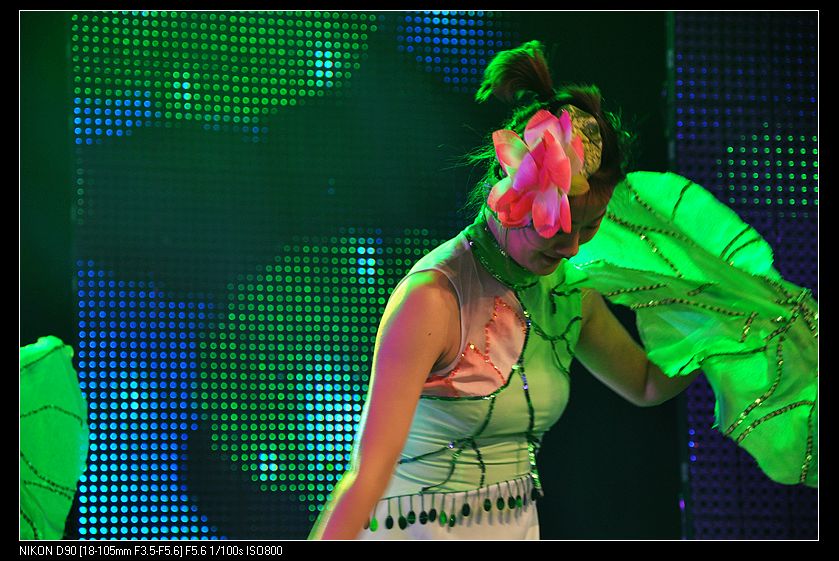 dsc_0415.jpg