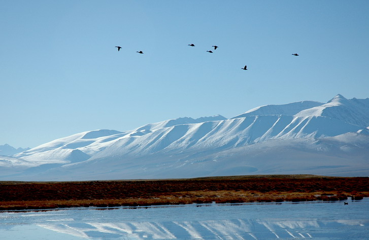 dsc_2635.1_С.jpg