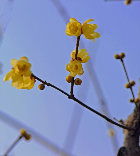dsc_4648a.jpg