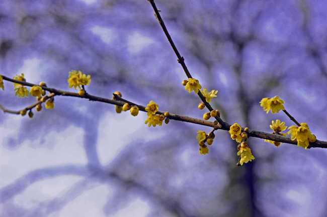 dsc_4669a.jpg