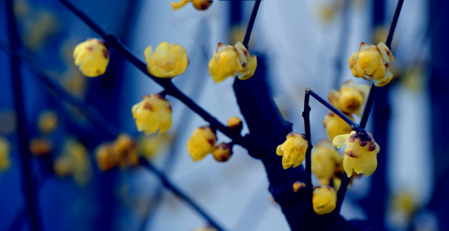 dsc_4646a.jpg