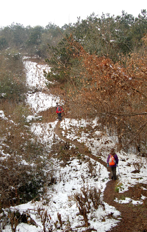 ڷ2011 (135).jpg