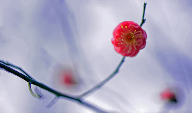 dsc_4689a.jpg