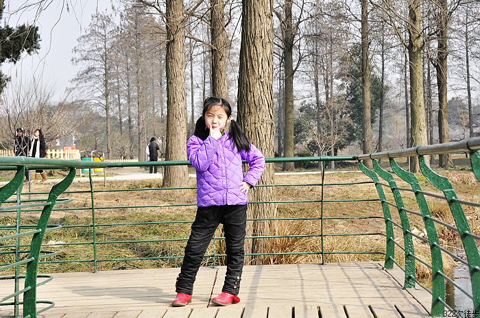 neo_img__dsc0228.jpg