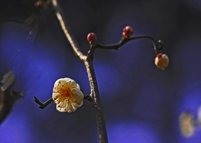 dsc_4761a.jpg