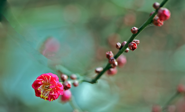 dsc_4775a.jpg