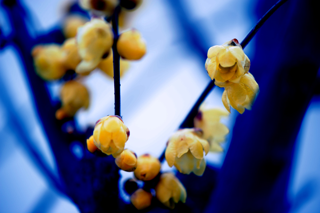 dsc_4792a.jpg