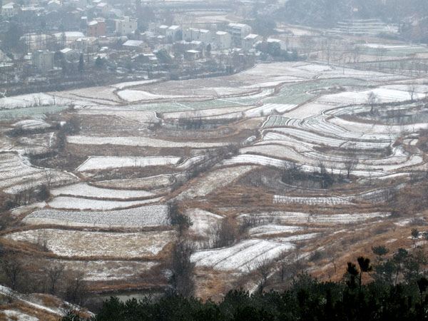 yuen 1211.jpg