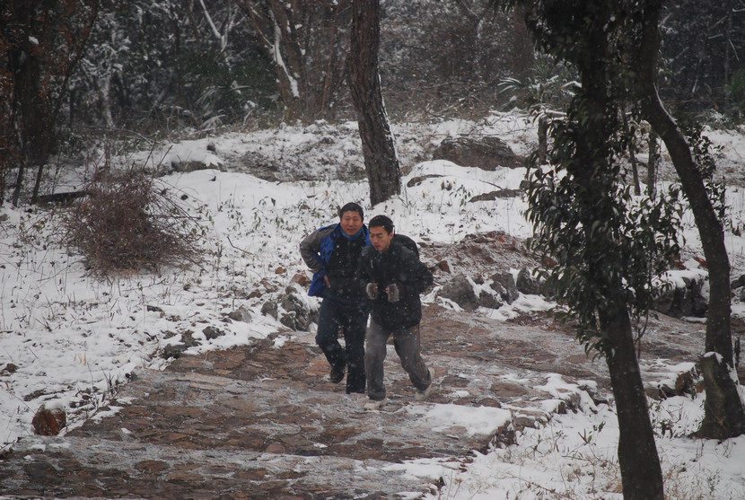 dsc_0013.jpg
