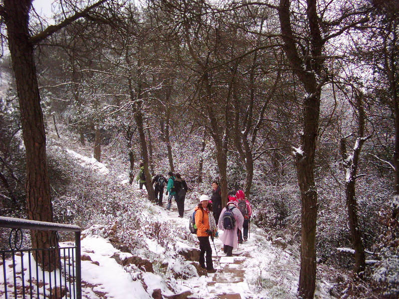 dsci0010.jpg