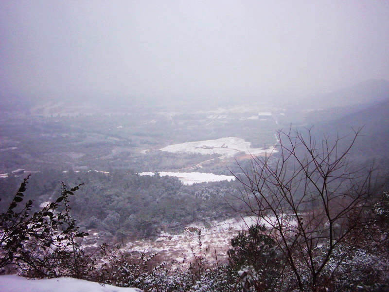 dsci0011.jpg