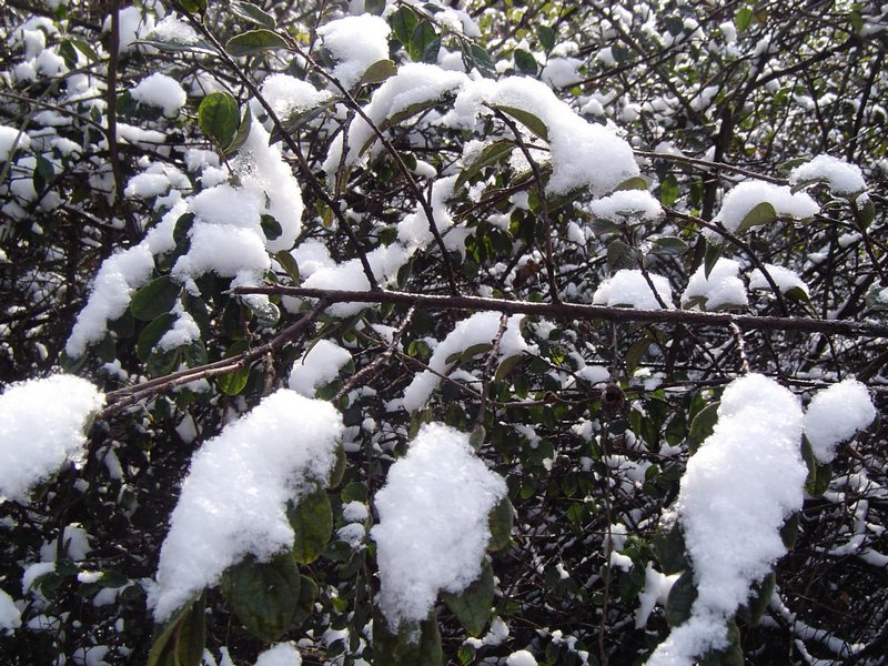 dsc09126_Ӱ_2.jpg