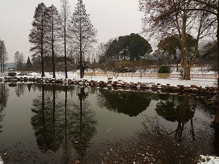 p1020448.jpg