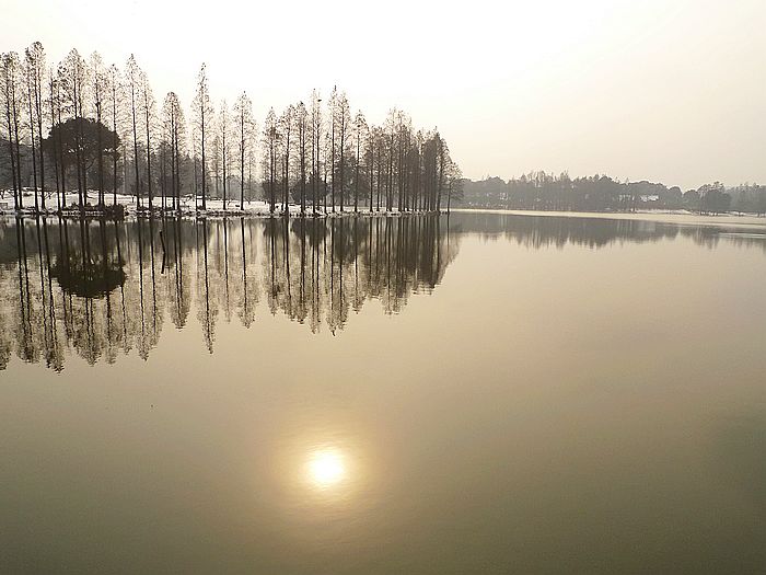 p1020474.jpg