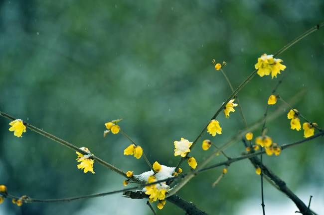 _dsc4216a.jpg
