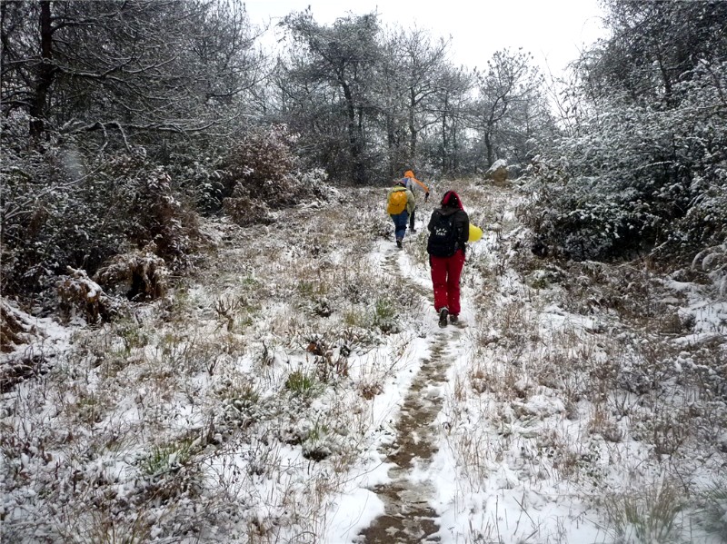 p1040060_.jpg