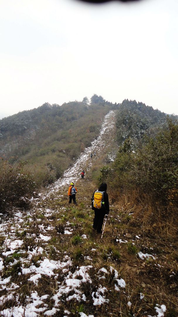 neo_img_dsc01559.jpg