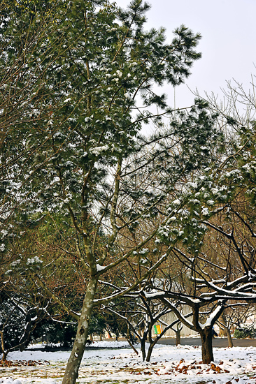 _dsc4249a.jpg