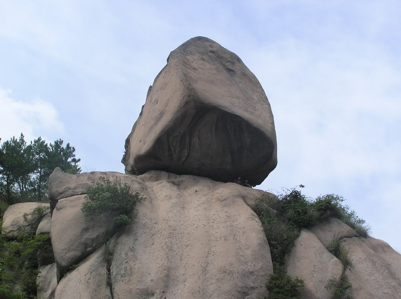 s36.jpg