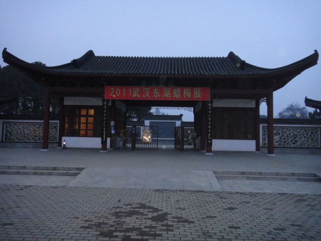 dsc00335.jpg