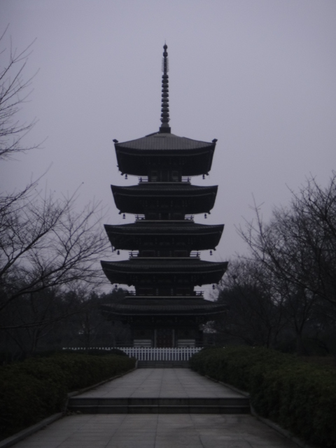 dsc00339.jpg