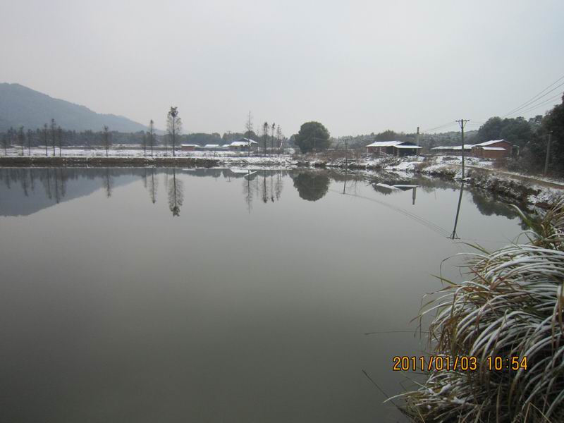 2011һ 043.jpg