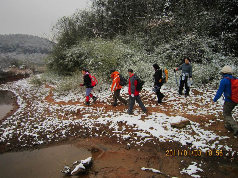 2011һ 049.jpg
