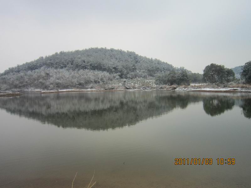 2011һ 054.jpg
