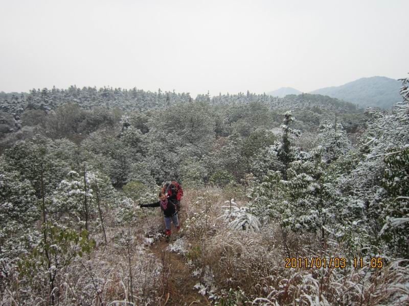2011һ 064.jpg