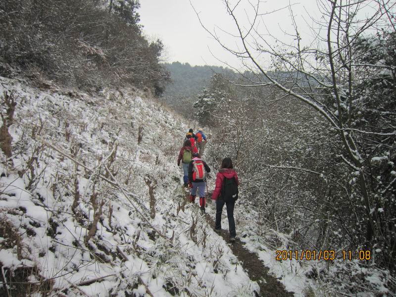 2011һ 066.jpg