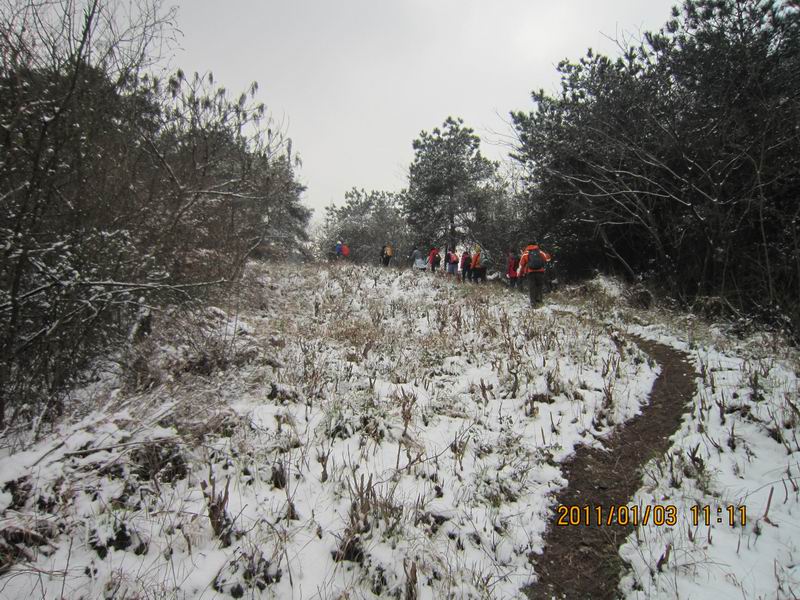 2011һ 075.jpg