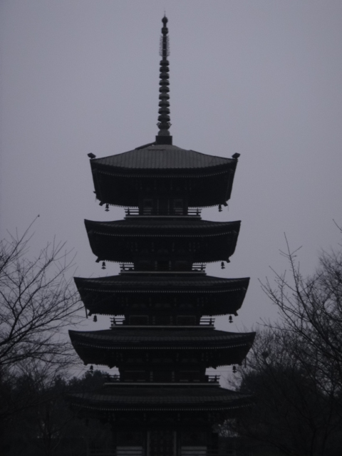 dsc00340.jpg