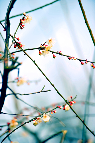 _dsc4276a.jpg