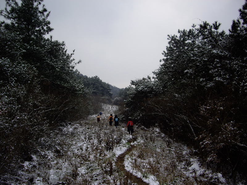 imgp2660.jpg