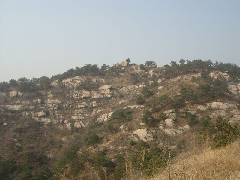 4743.jpg