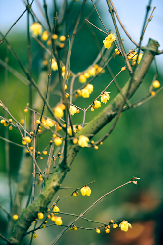 _dsc4314a.jpg