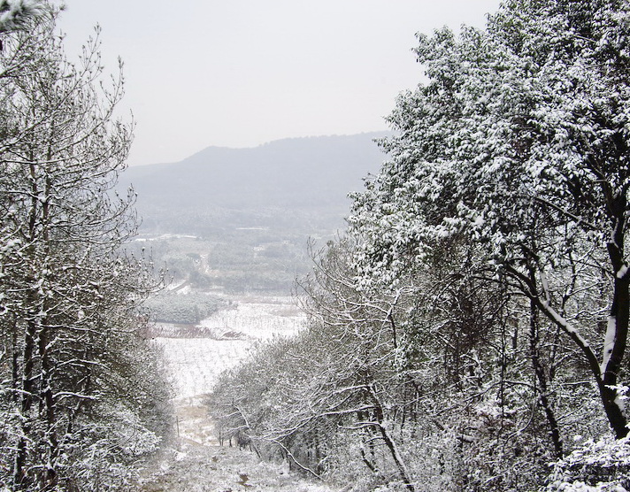 imgp2635.jpg