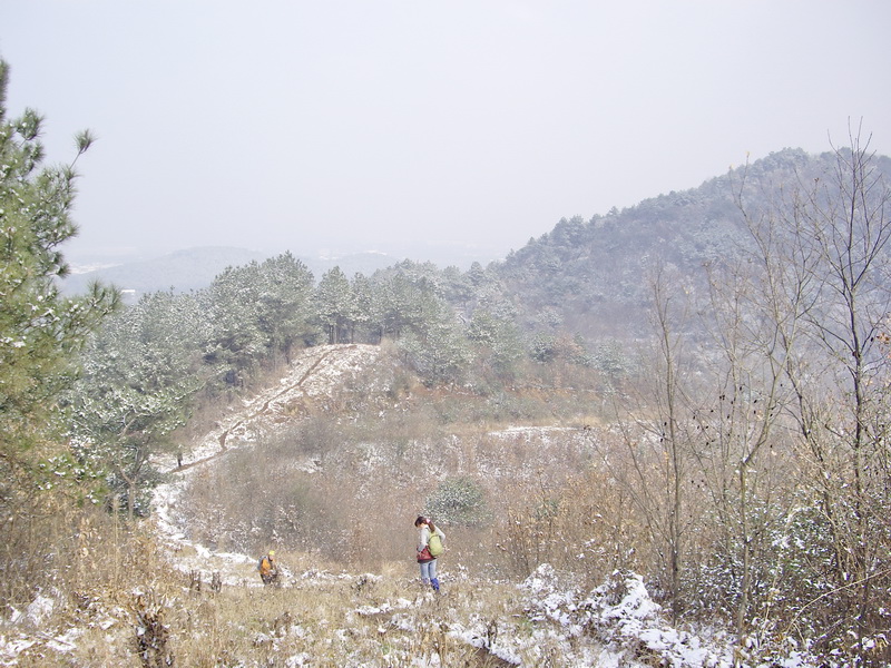 imgp2677.jpg