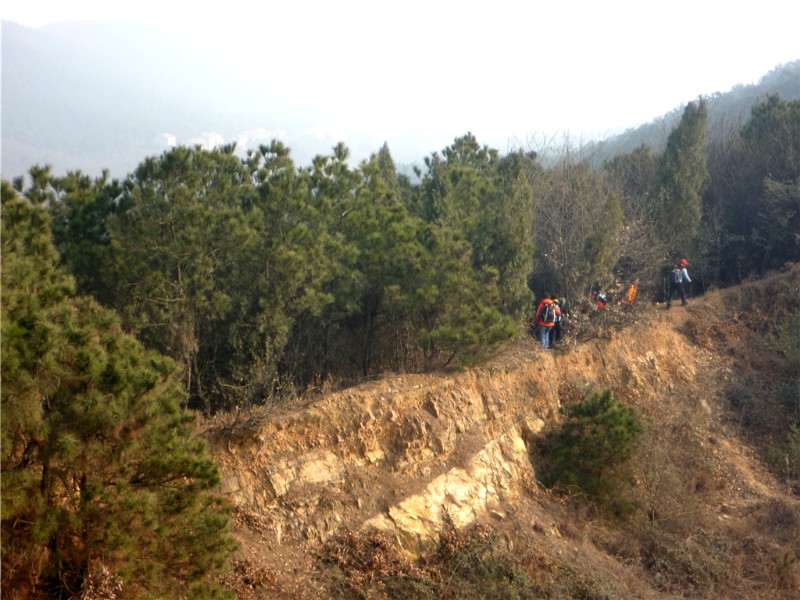 p1040209_.jpg