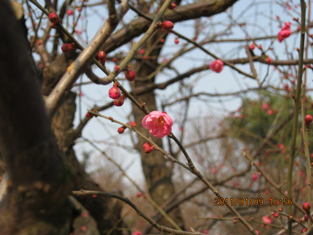 img_1237.jpg
