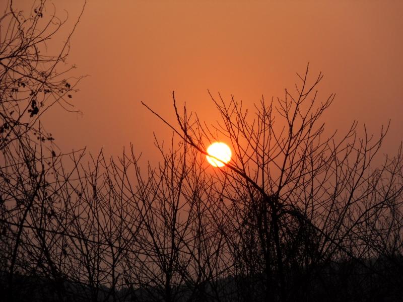 sdc10636.jpg