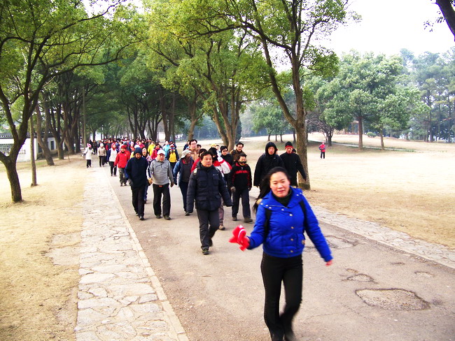 100_7033.jpg