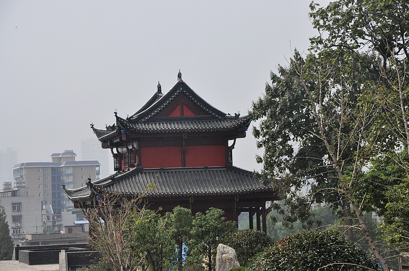 dsc_0968.jpg