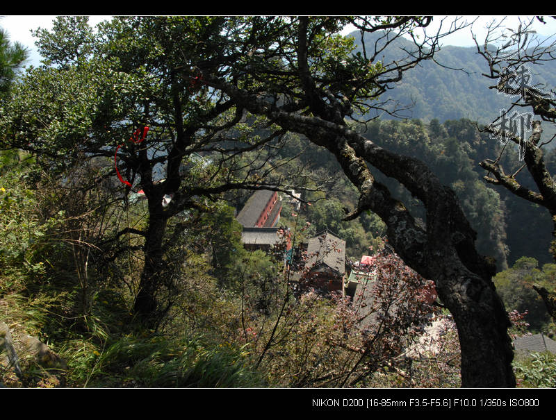 dsc_0062.jpg