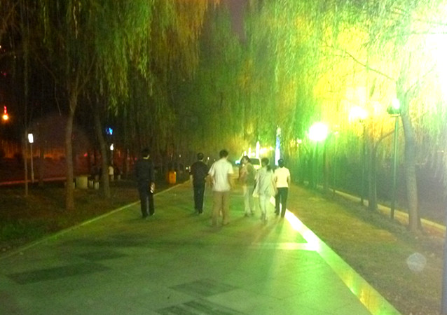 p1080714_.jpg